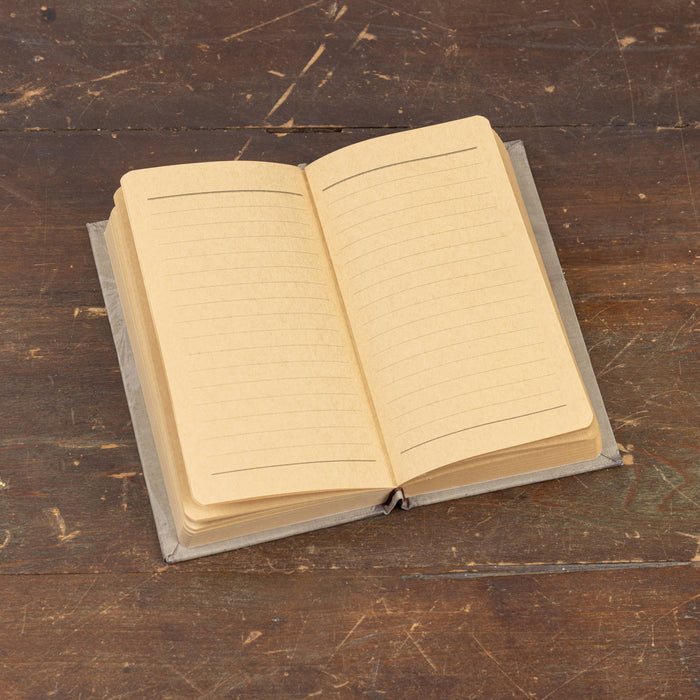 7" A BEGINNER'S GUIDE TO MOTHS AND BUTTERFLIES JOURNAL