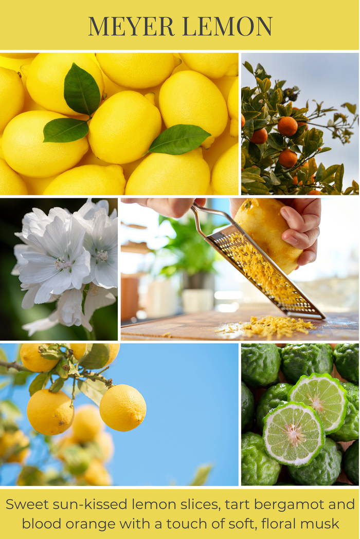 8oz mason MEYER LEMON