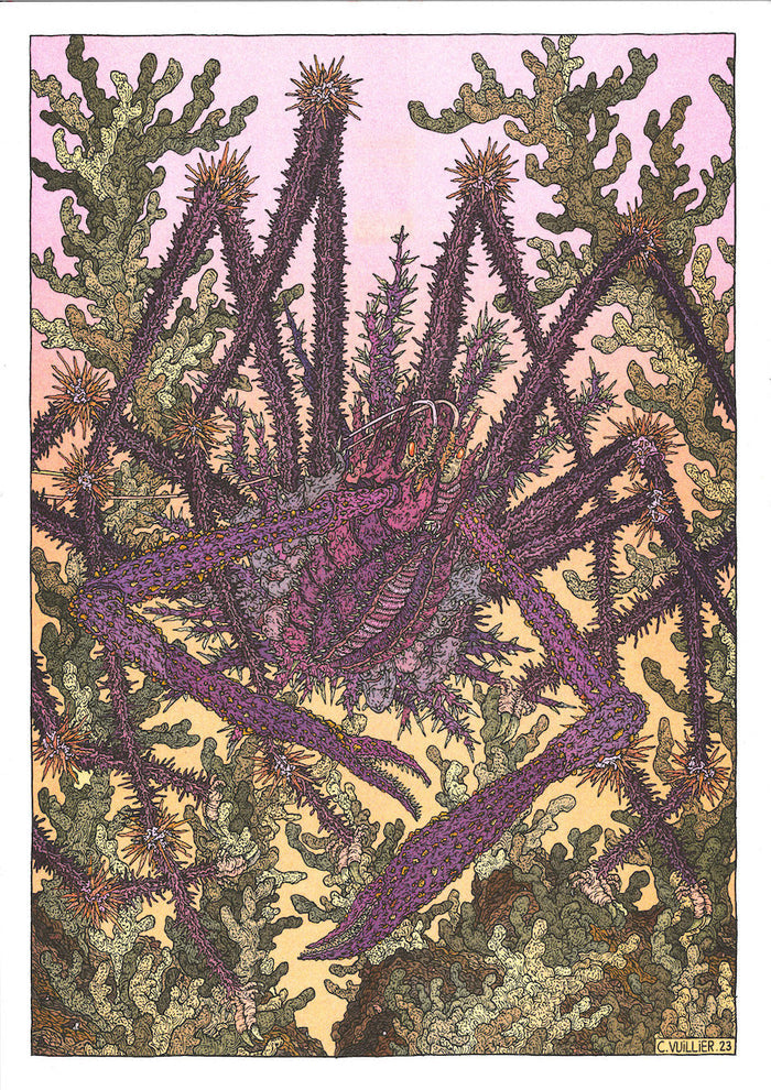 ARAIGNÉE, A3 - 29,7 x 42 cm — by Clément Vuillier