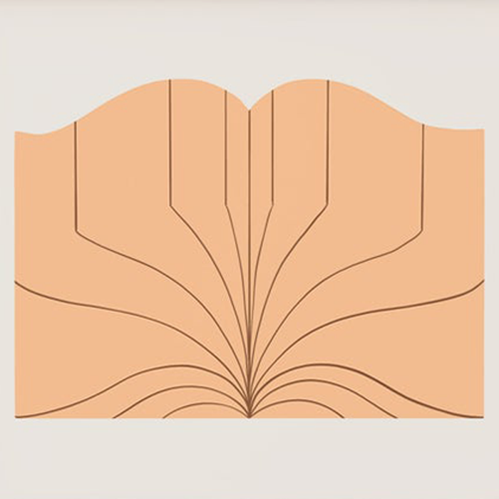 BOOK, 14" x 11" — by Julien Posture