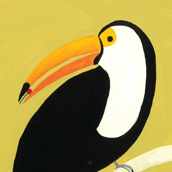 CAKE AND TUCAN, 20" X 20"— by Isabelle Feliu