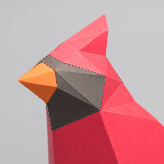 CARDINAL PAPER MODEL (pre-cut, pre-marked) — by SOFS design