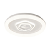 CEILING LIGHT CE045 450MM