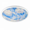 CEILING LIGHT CE072 56W 450MM