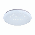 CEILING LIGHT CE104 18W 230MM