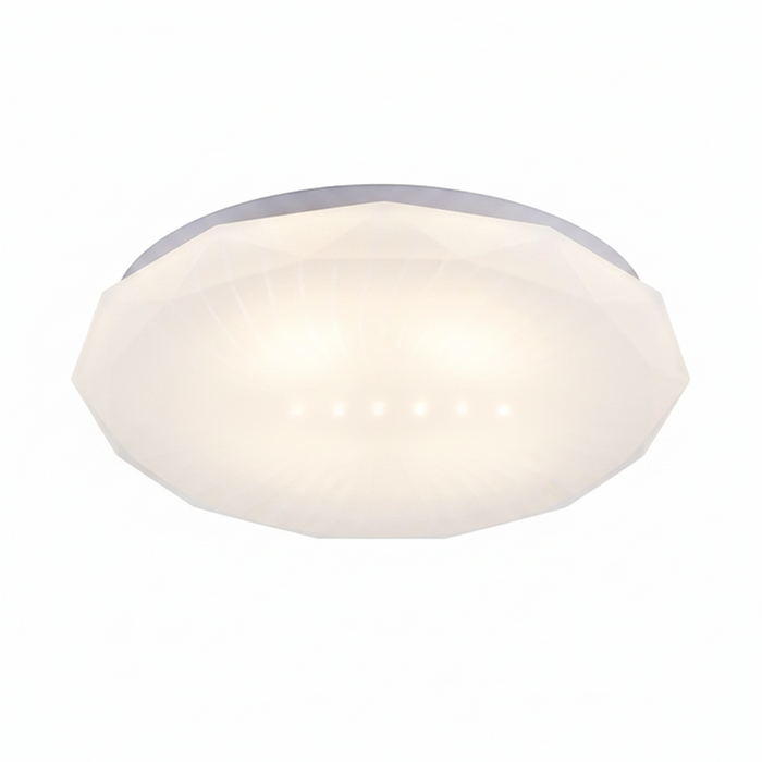 CEILING LIGHT CE104 30W 350MM