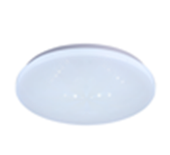 CEILING LIGHT CE106 18W 230MM