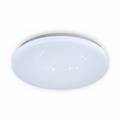 CEILING LIGHT CE106 24W 300MM
