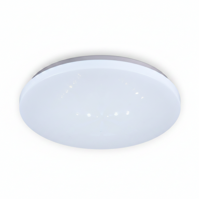CEILING LIGHT CE106 24W 300MM