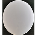 CEILING LIGHT CE111 40W