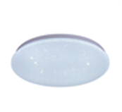 CEILING LIGHT CE112 30W 350MM