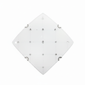 CEILING LIGHT CE203/S