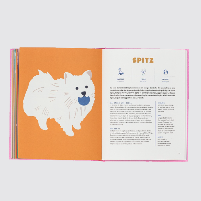 CHIENS – by Emilie Chazerand and Naomi Wilkinson
