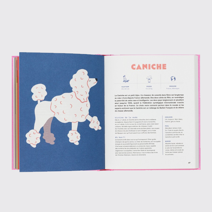 CHIENS – by Emilie Chazerand and Naomi Wilkinson