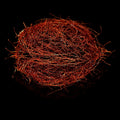 Chili Threads