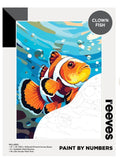 Clown Fish