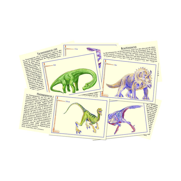 CONNAIS-TU LES DINOSAURES — by Marc Vidal