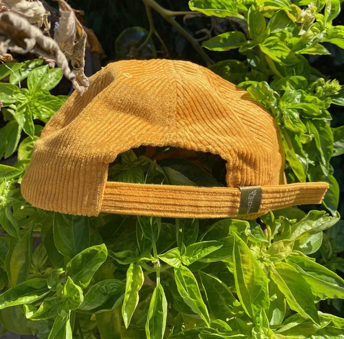 DEAD YELLOW CAP — by Dead Champion