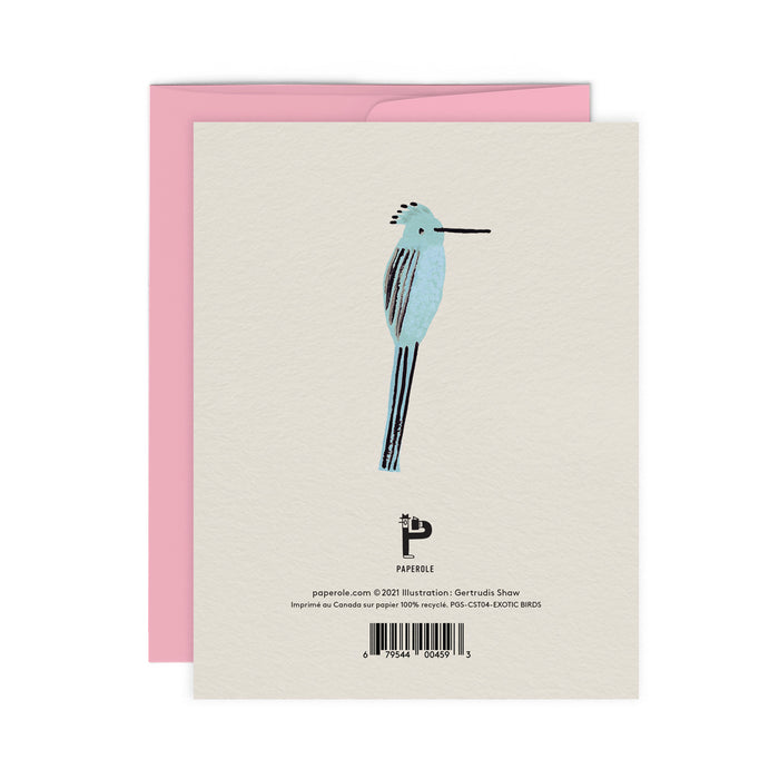 EXOTIC BIRDS