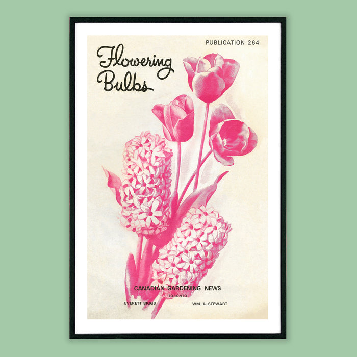 "FLOWERING BULBS (1965)", (Multiple sizes)