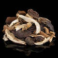 Forest Blend Dried Mushrooms