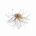 Gold Ceiling Light 5635/400 – Warm Gold Ambient Ceiling Fixture for Living Rooms, Bedrooms & Dining Areas | 400mm Modern Gold Ceiling Light