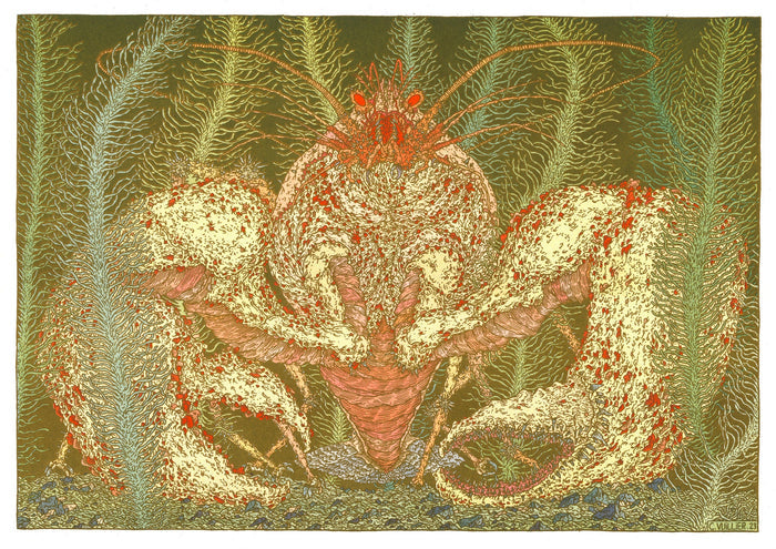 HOMARD, 29,7 x 42 cm — by Clément Vuillier