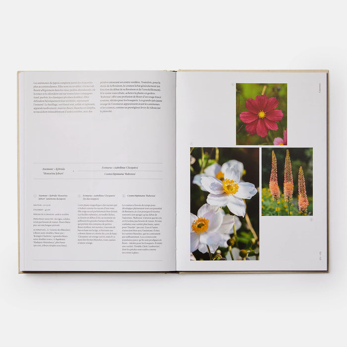 JARDINER AU RYTHME DES SAISONS — by Anna Pavord