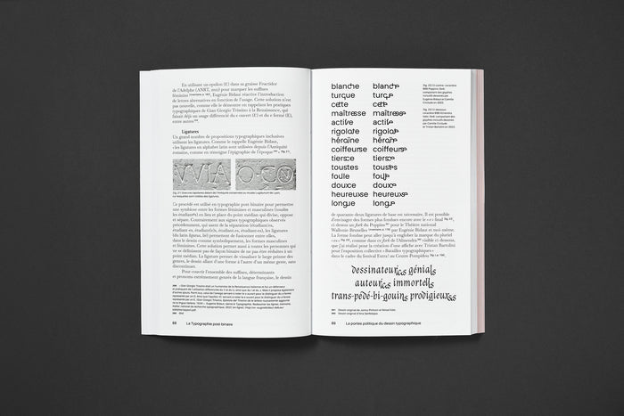 LA TYPOGRAPHIE POST-BINAIRE — by Camille Circlude