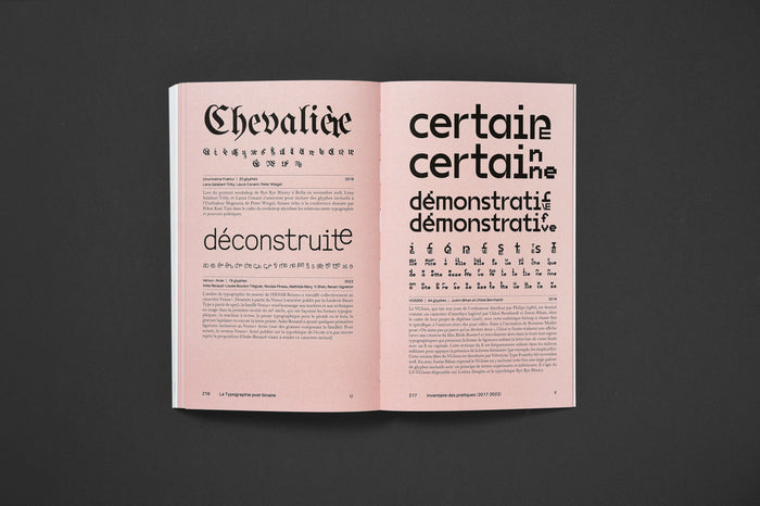 LA TYPOGRAPHIE POST-BINAIRE — by Camille Circlude