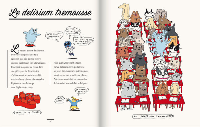 LE MANUEL DU DR. SCHNOCK — by Dorothée de Monfreid