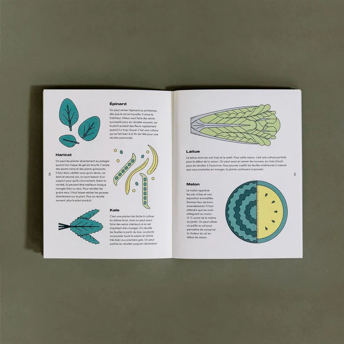 LE PETIT GUIDE ILLUSTRÉ DU POTAGER — by Le nutritionniste urbain