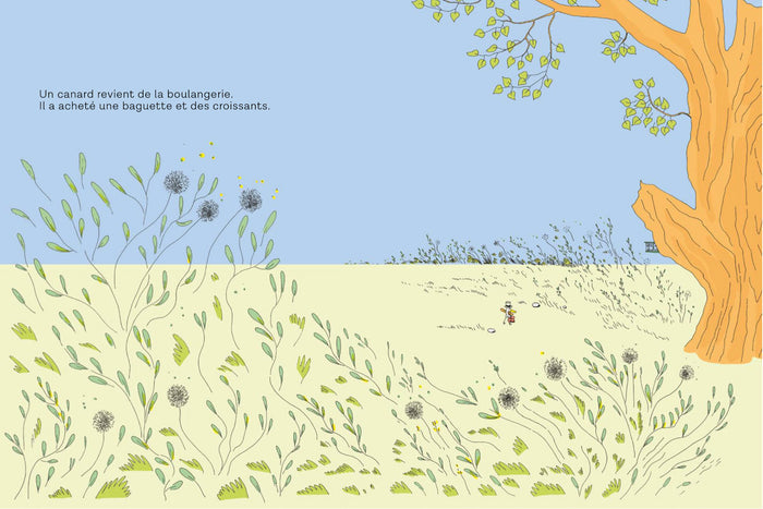 LES CANARDS SAUVAGES — by Adèle Jolivard