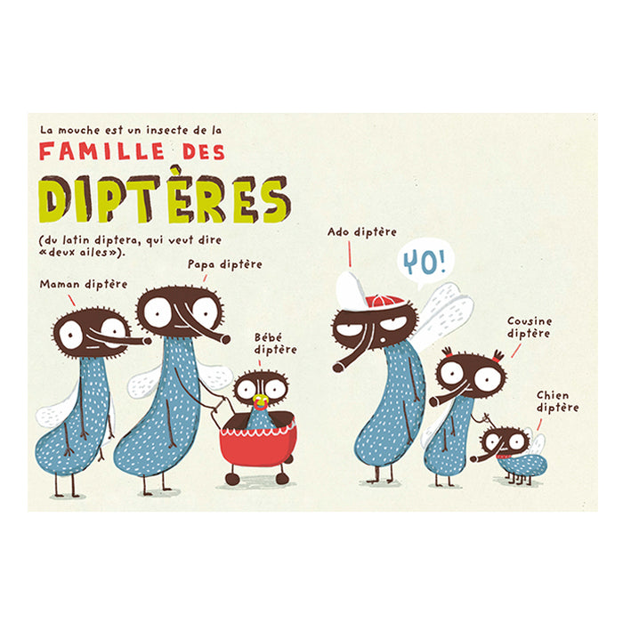 LES PETITS DÉGOUTANTS : LA MOUCHE — by Elise Gravel