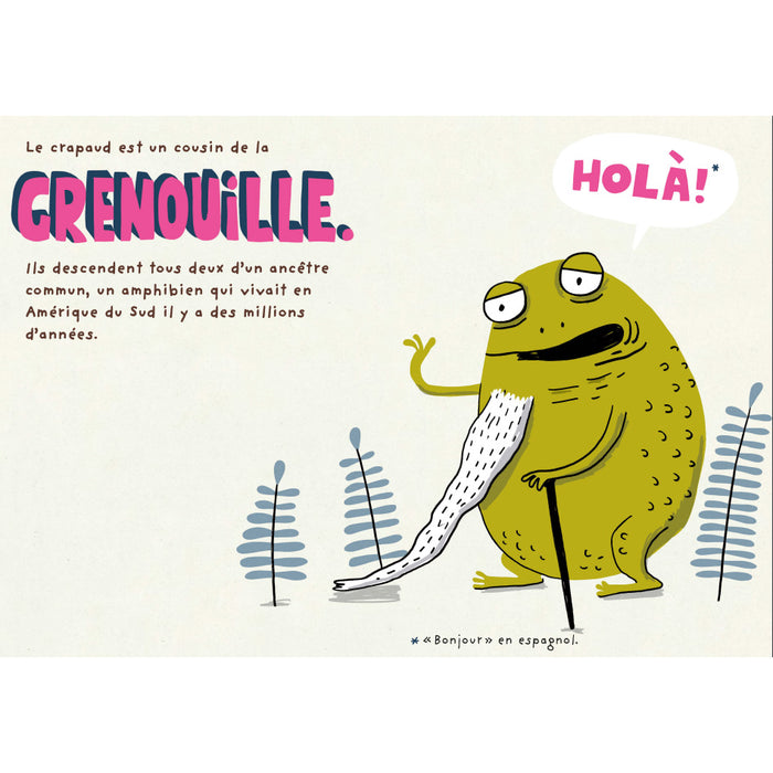 LES PETITS DÉGOUTANTS : LE CRAPAUD — by Élise Gravel