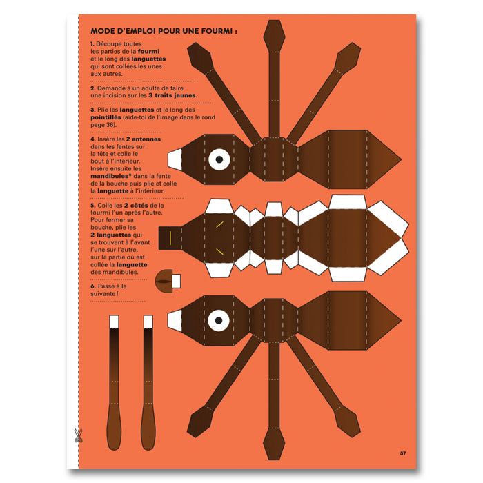 MAGAZINE GEORGES (7-12 years old) – N° FOURMIS
