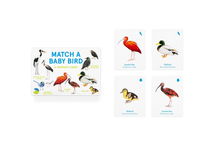 MATCH A BABY BIRD — by Laurence King Publishing