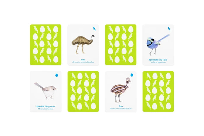MATCH A BABY BIRD — by Laurence King Publishing