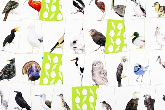 MATCH A BABY BIRD — by Laurence King Publishing