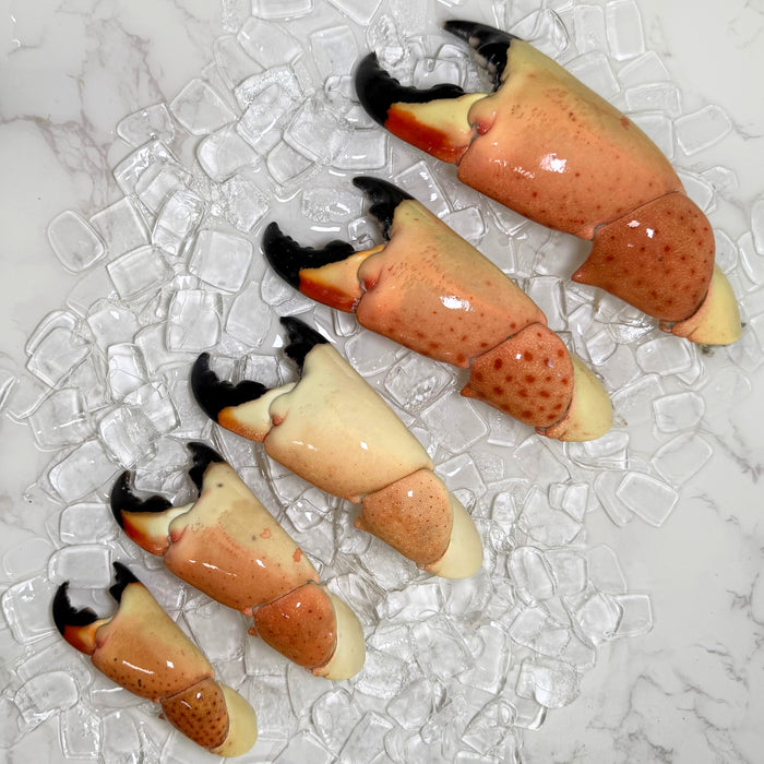 All_Sizes_Stone Crab_Claws-Edited