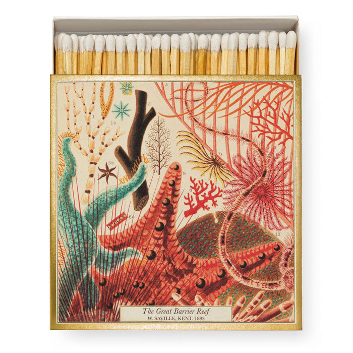 NATURAL HISTORY MUSEUM GREAT BARRIER REEF - LUXURY MATCHBOXES
