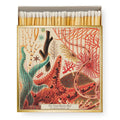 NATURAL HISTORY MUSEUM GREAT BARRIER REEF - LUXURY MATCHBOXES