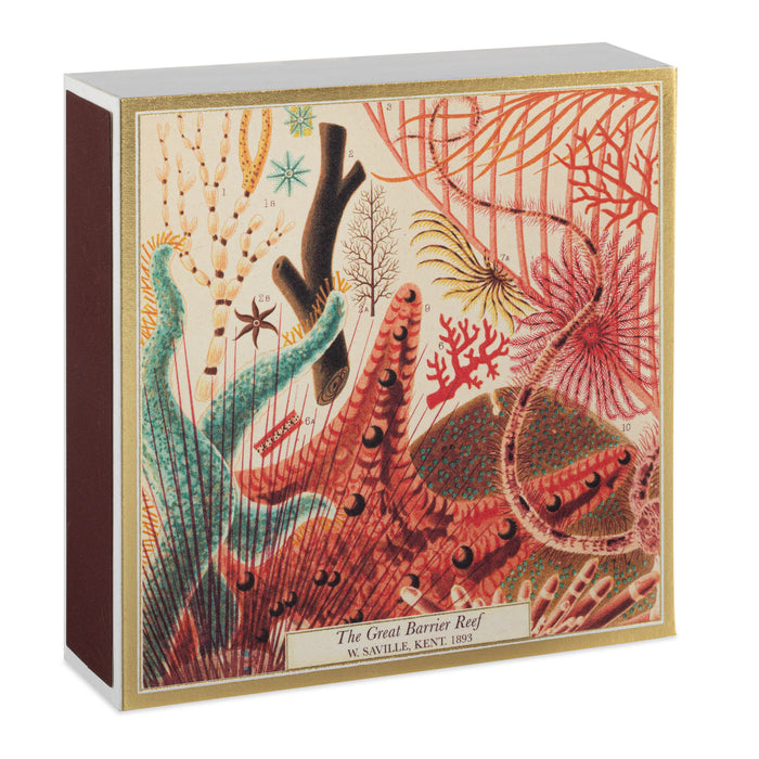 NATURAL HISTORY MUSEUM GREAT BARRIER REEF - LUXURY MATCHBOXES