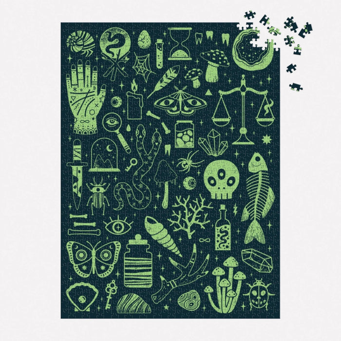 OCCULT AND CURIOUS 1000 PIECES PUZZLE — by Camille Chew