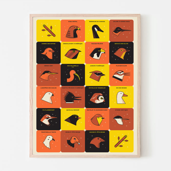 OISEAUX DU QUÉBEC, 18" X 24" — by Simon L’Archevêque