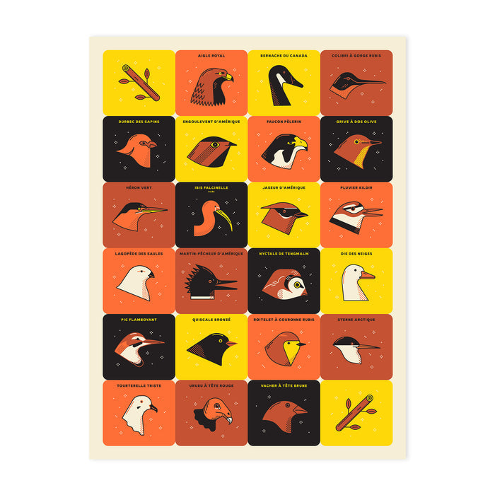 OISEAUX DU QUÉBEC, 18" X 24" — by Simon L’Archevêque