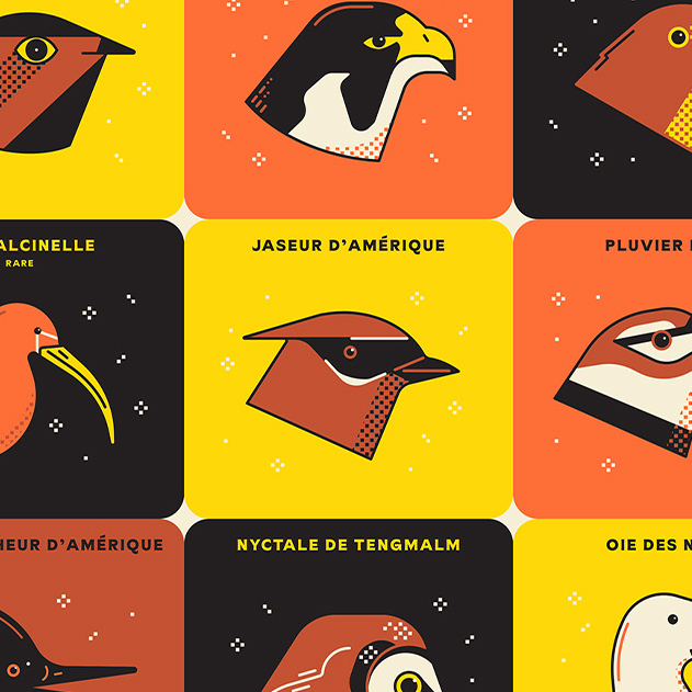 OISEAUX DU QUÉBEC, 18" X 24" — by Simon L’Archevêque