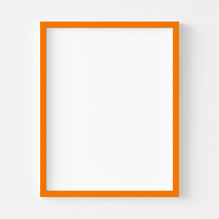 ORANGE FRAME (Multiple Sizes) PICK UP ONLY