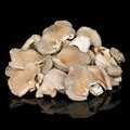 Oyster Mushrooms Dried