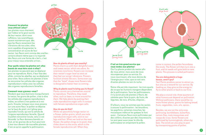 PICNIC — Issue 29 (5-10 years)